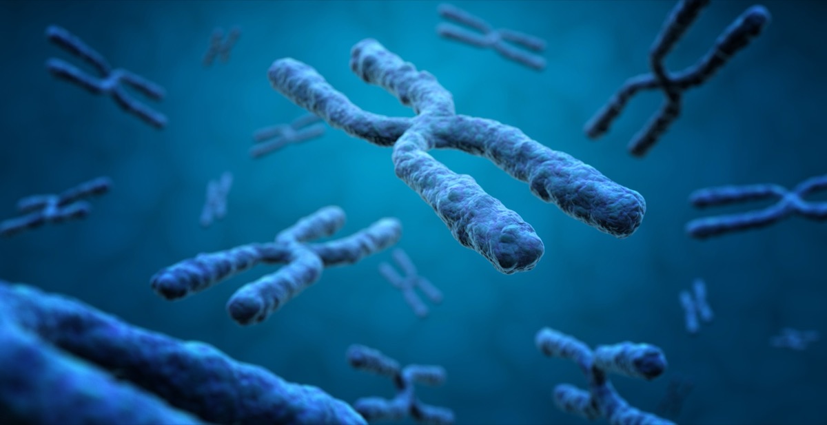 Factor V Leiden Mutation: What It Is and What It Means